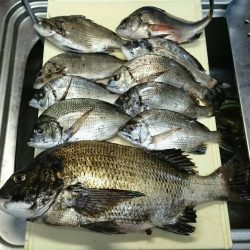 久しぶりのフカセ釣り