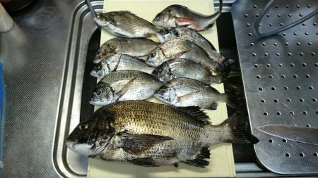 久しぶりのフカセ釣り