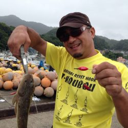 ちょい投げで……