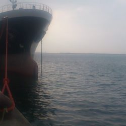 太刀魚ナンパ失敗 アジ・イワシは成!?