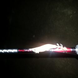 ケンサキエギング