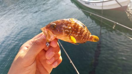 やはり日本海！！