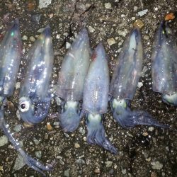 旬にのってみました！