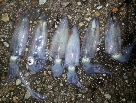 旬にのってみました！