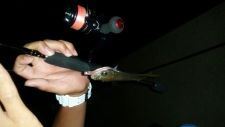 アジングは奥が深いよ