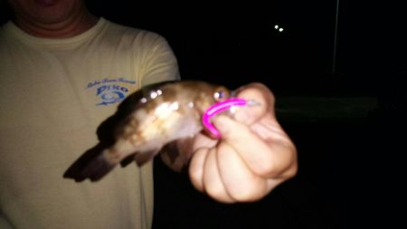 アジはどこへ？