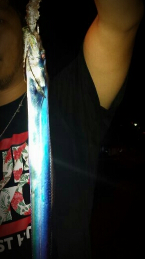 ちょこっとタチウオ狙いで