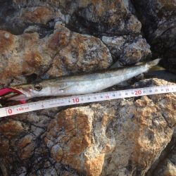 冲磯チャレンジ