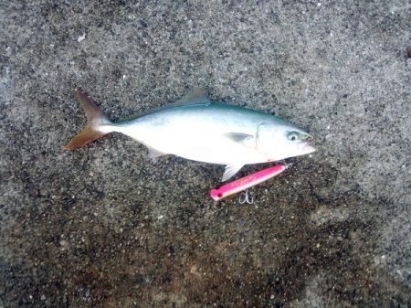 ポッパーでツバス