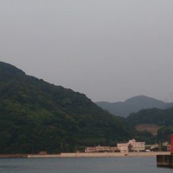 何か釣れないかと