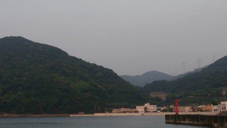 何か釣れないかと