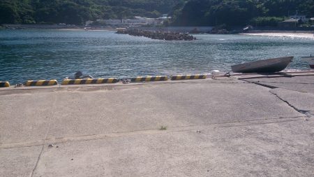 回遊魚を探しに