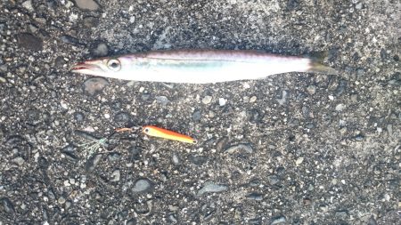 初心者にも簡単！ ジグカマス