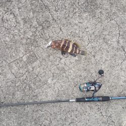 根魚狙い？！ジギング