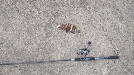 根魚狙い？！ジギング