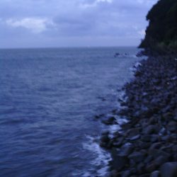 ショアジギでサワラ