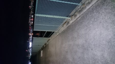 ガシラくーん大好きよ