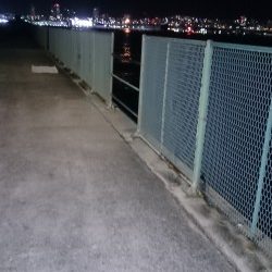 ガシラくーん大好きよ