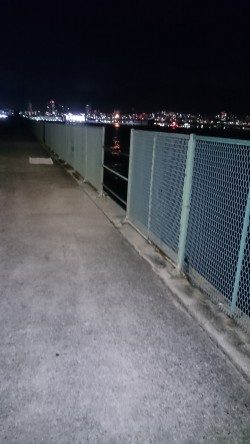 ガシラくーん大好きよ