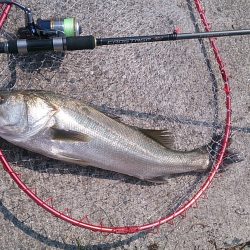 トップでドーーーン