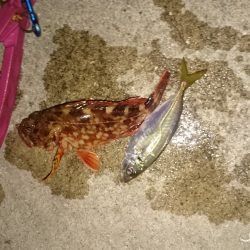 仕事帰りのお楽しみ