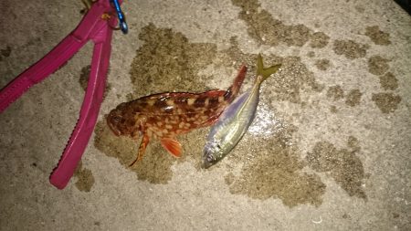 仕事帰りのお楽しみ