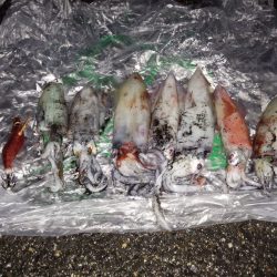 雨風の中頑張りました。