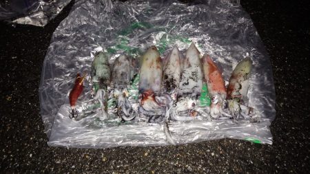 雨風の中頑張りました。