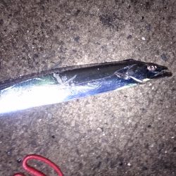 雨の中、気合いダアッ！