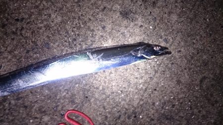 雨の中、気合いダアッ！