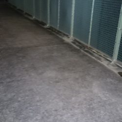 アジングの調子が上がってきたかな