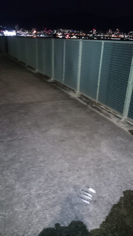 アジングの調子が上がってきたかな