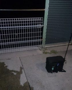 今日はアジに会えませんでした