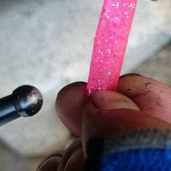 シーバスのつもりが…