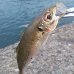 根掛かりとの戦い