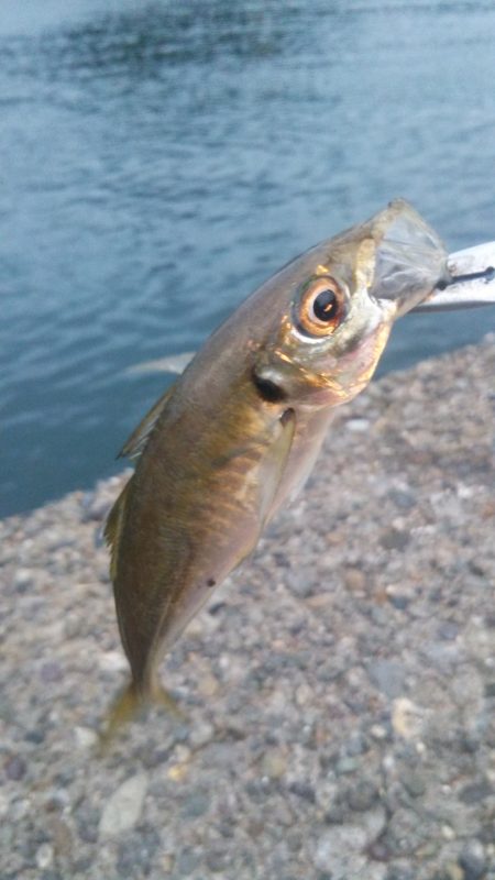 根掛かりとの戦い