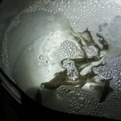 夜のサビキ釣り 好調です。