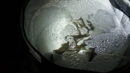 夜のサビキ釣り 好調です。