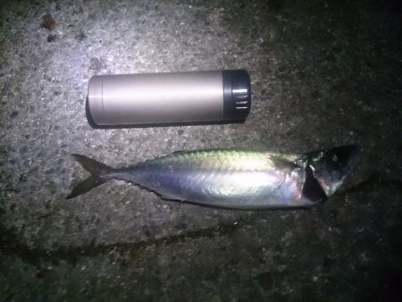 2015/08/03　アジュール舞子で大サ…