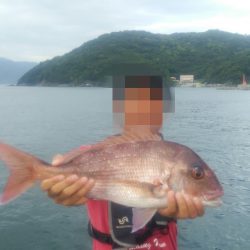 沼島でかご釣り、飲ませ釣り