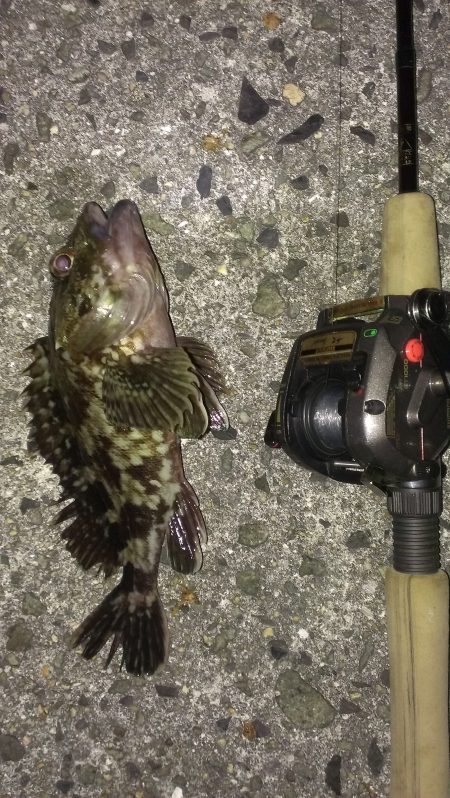 南甲子園浜ガシラ いまいちな釣果