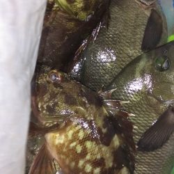 芦屋浜石畳ウキ釣り 夕涼みに最適