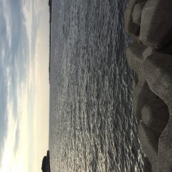 天婦羅を想像しながら…