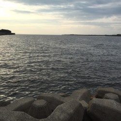 天婦羅を想像しながら…