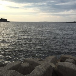 天婦羅を想像しながら…