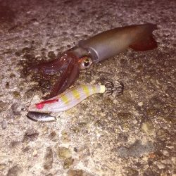 シビアなアタリをとらえれば…