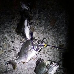 とりあえずキープサイズ！！