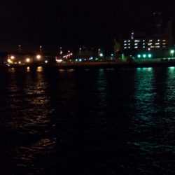 アジングからの·····