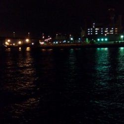 アジングからの·····