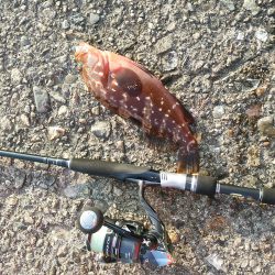 プチロックフェス！